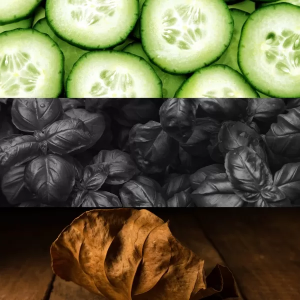 CK One Shock for Him CK One Shock for Him