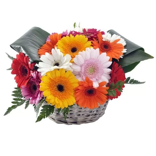 Cesta de Gerberas Cesta de Gerberas
