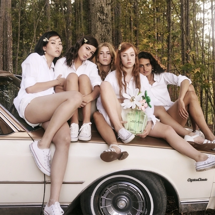 Daisy Wild