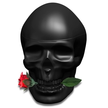 Ed Hardy Skulls & Roses for Him