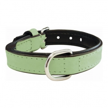 Collar para Perro Gloria Acolchado Verde (30 x 1,5 cm)