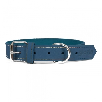 Collar para Perro Gloria Oasis Azul (55 x 2,5 cm)