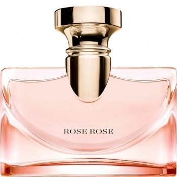 Splendida Rose Rose