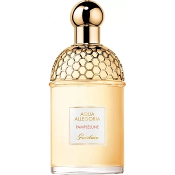 Aqua Allegoria Pamplelune