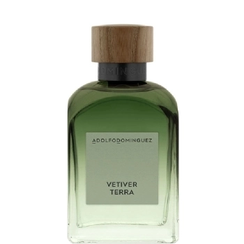 Vetiver Terra