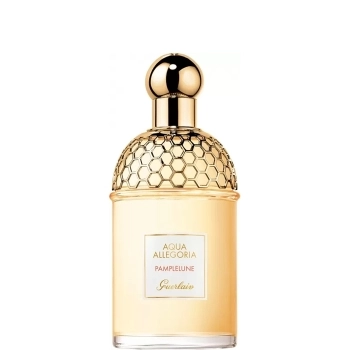 Aqua Allegoria Pamplelune