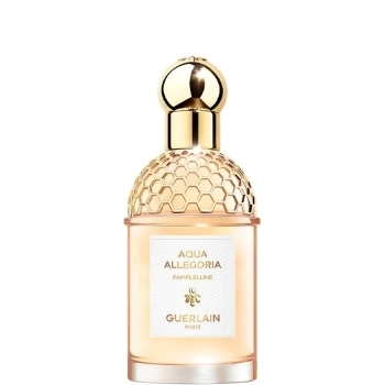 Aqua Allegoria Pamplelune