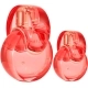 Set Omnia Coral edt 100ml + edt 15ml Set Omnia Coral edt 100ml + edt 15ml