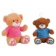 Oso de Peluche Camiseta Terciopelo 27cm