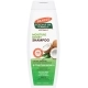 Coconut Oil Moisture Boost Shampoo 400ml
