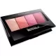 Master Blush Color & Highlighting Kit 14g Master Blush Color & Highlighting Kit 14g