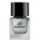 Mr. Burberry edt 50ml