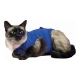 Camiseta de Recuperación para Mascotas KVP Azul (74-86 cm)