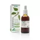 Abedul Extracto Natural 50ml Abedul Extracto Natural 50ml