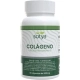 Colágeno + Ácido Hialurónico 60 Cápsulas 