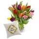 Pack Tulipanes Única Pack Tulipanes Única